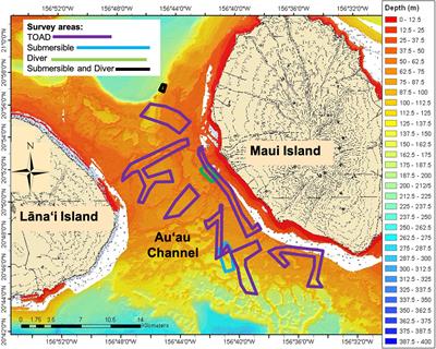 Quantifying Mesophotic Fish Assemblages of Hawai‘i’s Au‘au Channel: Associations With Benthic Habitats and Depth